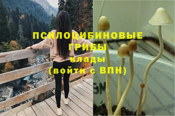 Альфа ПВП Белокуриха