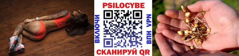 Галлюциногенные грибы MAGIC MUSHROOMS mega зеркало Верхнеуральск